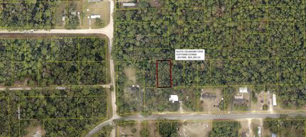Hunting Property in Suwannee County, Florida