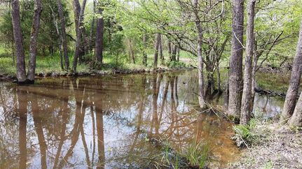 Undeveloped Land in Van Zandt County, Texas