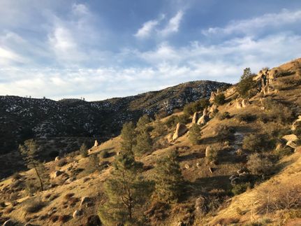 Farm and Ranch in Kern County, California