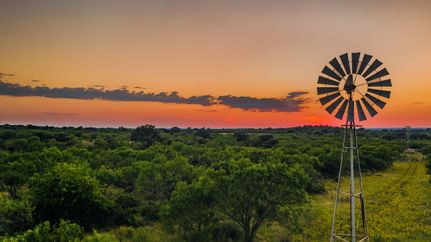 Timberland Property in Llano County, Texas