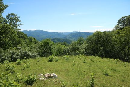 Recreational Property in Madison County, North Carolina