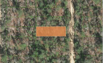 Hunting Property in Putnam County, Florida