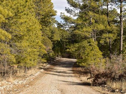 Farm and Ranch in Otero County, New Mexico