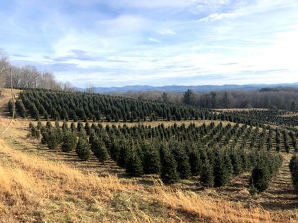 Land in Grayson County, Virginia
