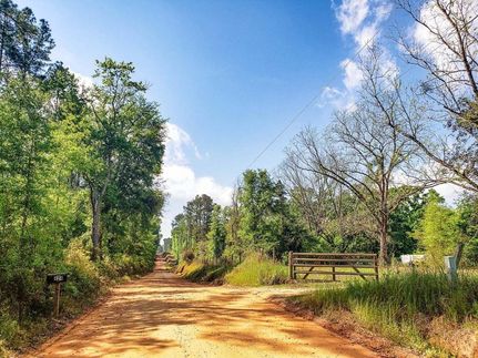 Undeveloped Land in Decatur County, Georgia