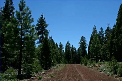Hunting Property in Modoc County, California
