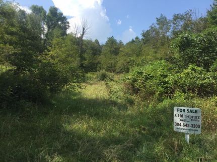 Recreational Property in Greenbrier County, West Virginia