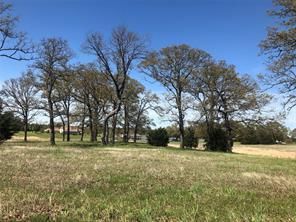 Undeveloped Land in Fannin County, Texas