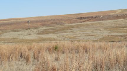 Farm and Ranch in Hemphill County, Texas