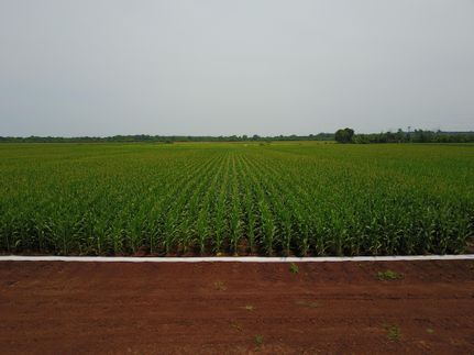 Farm and Ranch in Caddo Parish, Louisiana