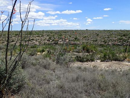 Recreational Property in Terrell County, Texas