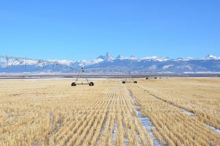 Undeveloped Land in Teton County, Idaho