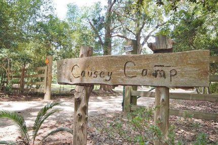 Timberland Property in Wilkinson County, Mississippi