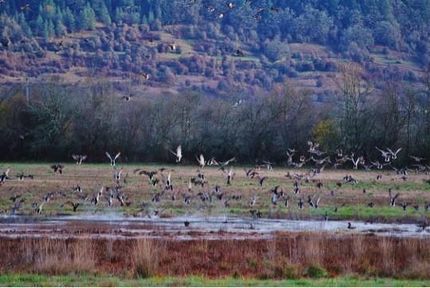 House in Linn County, Oregon