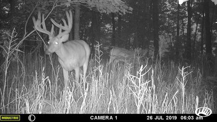 Land in Brown County, Ohio