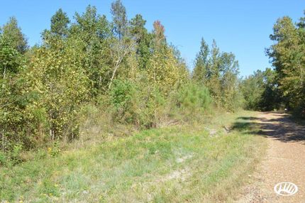 Land in Rapides Parish, Louisiana
