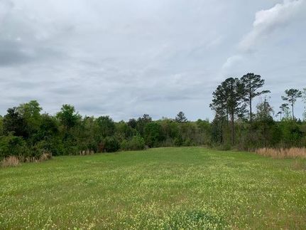 Farm and Ranch in Monroe County, Alabama