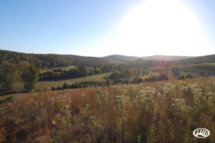 Timberland Property in Boone County, Arkansas