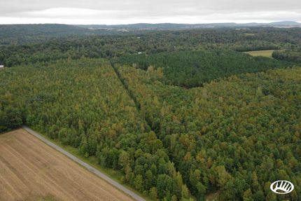 Hunting Property in Livingston County, Kentucky