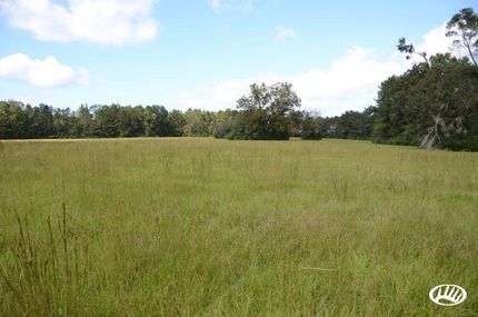 Land in Tangipahoa Parish, Louisiana