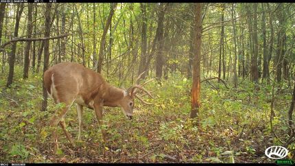 Land in Monroe County, Missouri