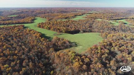 Timberland Property in Laclede County, Missouri