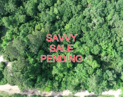 Timberland Property in Liberty County, Texas