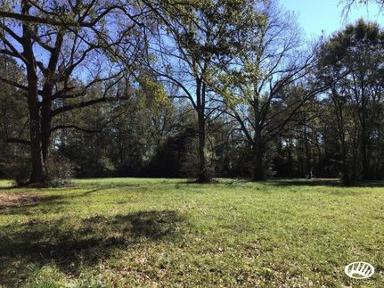 Timberland Property in Jefferson Davis County, Mississippi