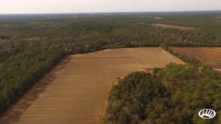 Timberland Property in Baldwin County, Alabama