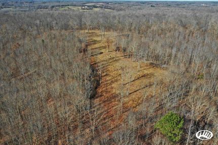 Timberland Property in Calloway County, Kentucky