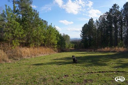 Farm and Ranch in Monroe County, Tennessee