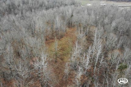 Hunting Property in Crittenden County, Kentucky