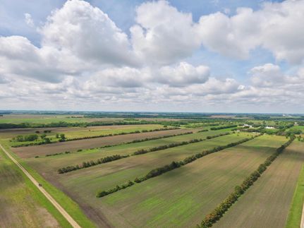 Timberland Property in Redwood County, Minnesota