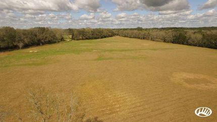 Timberland Property in Baldwin County, Alabama