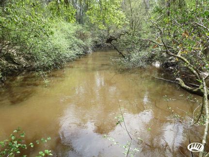 Farm and Ranch in Pearl River County, Mississippi