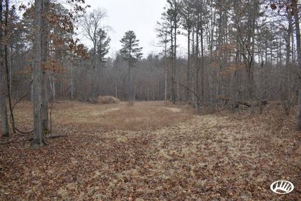 Timberland Property in Douglas County, Missouri