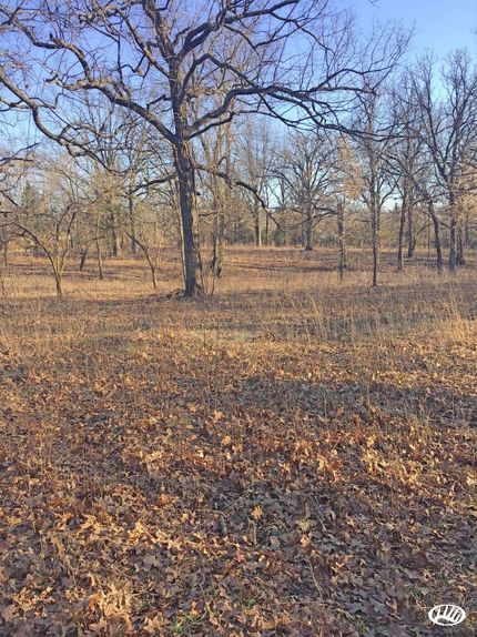 Recreational Property in Laclede County, Missouri