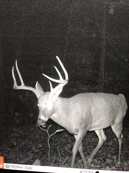 Recreational Property in Monroe County, Ohio