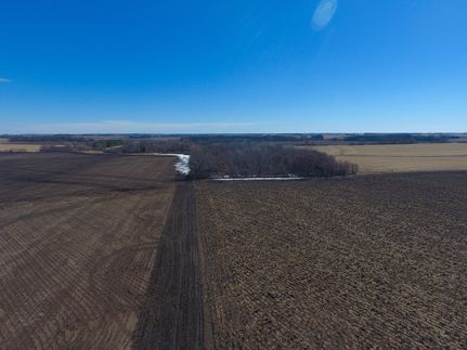Timberland Property in Dodge County, Minnesota