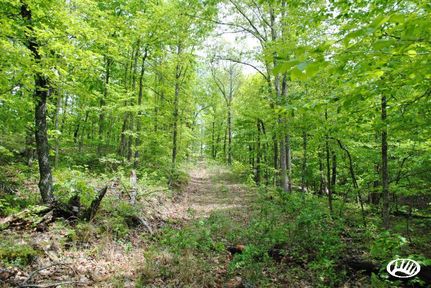 Land in Van Buren County, Arkansas