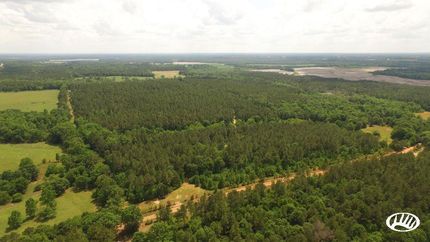 Timberland Property in Coffee County, Alabama