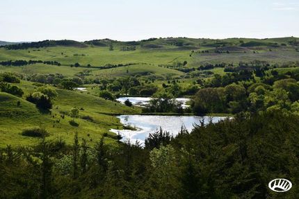 Timberland Property in Knox County, Nebraska