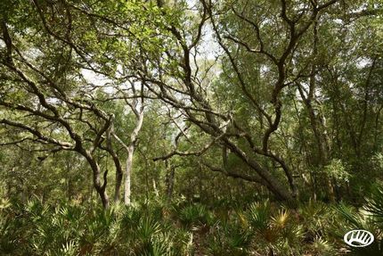 Land in Marion County, Florida