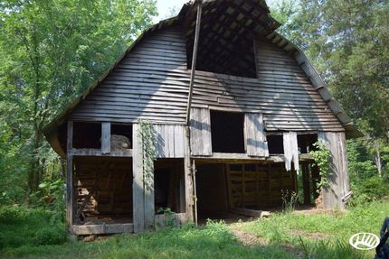 Timberland Property in Carroll County, Tennessee