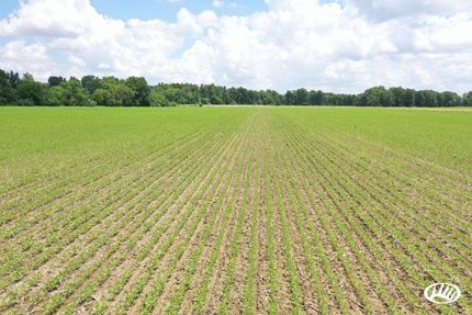 Land in Perry County, Illinois