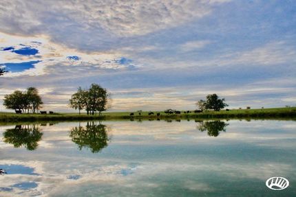 Farm and Ranch in Jasper County, Missouri