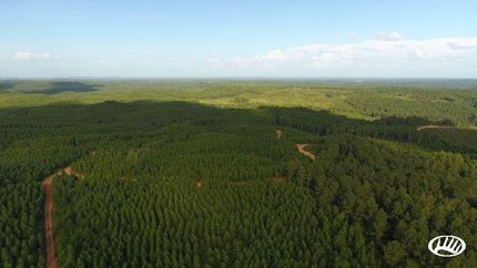 Farm and Ranch in Shelby County, Alabama