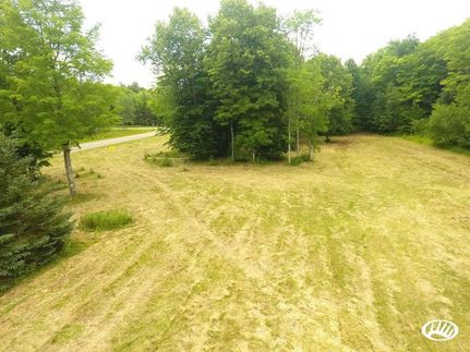 Timberland Property in Forest County, Wisconsin