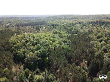 Recreational Property in Wexford County, Michigan