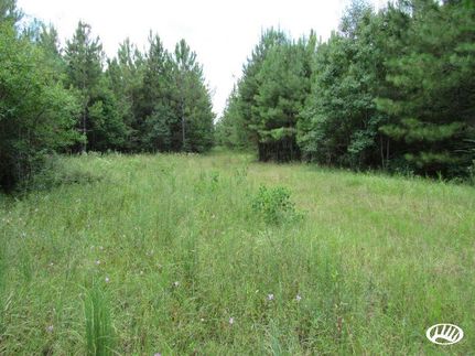 Hunting Property in Vernon Parish, Louisiana